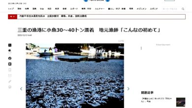 Photo of 日又大量魚屍衝上岸 這回是三重縣漁港