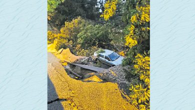 Photo of 蒲種宏願花園 豪雨土崩4車墜坑