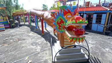Photo of 馮富光設計打造 30米3D巨龍賀新歲