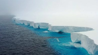 Photo of 全球最大冰山向北漂 面積近4000平方公里