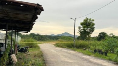 Photo of 廢棄建築現人類遺骸  疑是失蹤單親媽