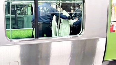 Photo of 【視頻】東京車站爆隨機傷4人 持刀亂揮女子被捕