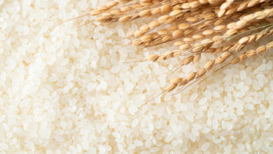 Photo of 涉售賣碎米及記錄差異 米較廠被罰1萬2000