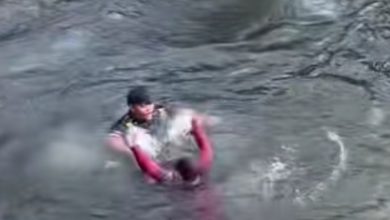 Photo of 女子披巾纏臉險溺水 遊客即時營救保命