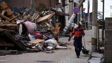 Photo of 石川大地震“珍妮佛”搜救犬救了老婦人 死亡數增至84人79人失蹤