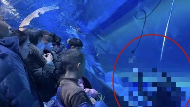Photo of 海洋館潛水員遇溺不治 七八名遊客盯10分鐘：以為假人