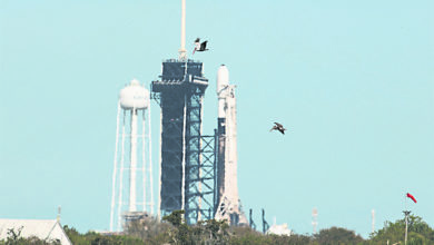 Photo of SpaceX發射前2小時喊卡 美私企登月艙延後升空