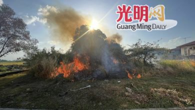 Photo of 吉北威省數十宗火燒芭投報 比去年同期增逾30％