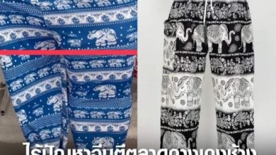 Photo of 中國產70%“大象褲” 泰副首相：或侵權要查