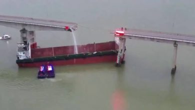 Photo of 撞斷廣州瀝心沙大橋 船主已被控制