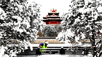 Photo of 北京迎龍年首場降雪