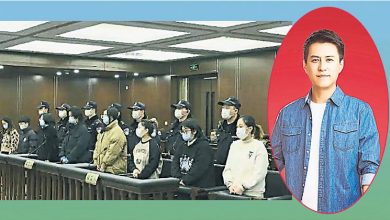 Photo of 假冒靳東詐騙案 8被告判有期徒刑