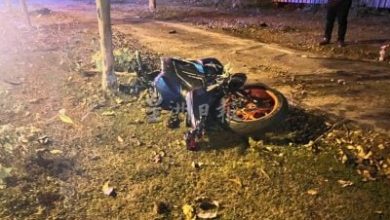 Photo of 試騎友人摩多 19歲華裔少女連撞4樹身亡