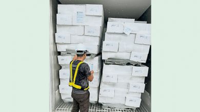 Photo of 25噸豬肉無進口准證 馬檢疫局扣40萬貨品