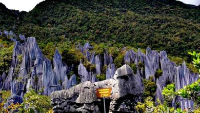 Photo of 最受歡迎自然旅遊目的地 美里姆祿入選亞洲9強
