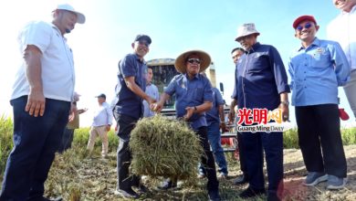 Photo of 農長：將檢討津貼白米供應  20日討論後再帶上內閣