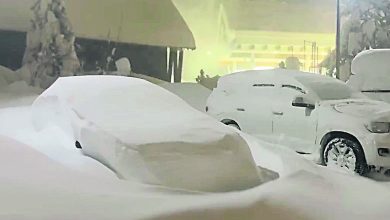Photo of 暴風雪吹襲加州　逾2.2萬戶停電