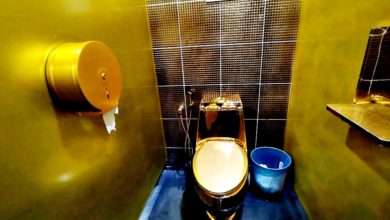 Photo of 金色馬桶還有冷氣 RM2“黃金廁所”做大事