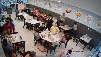 Photo of 四腳蛇“夫婦”闖釀豆腐店 食客嚇到跌倒爬椅子