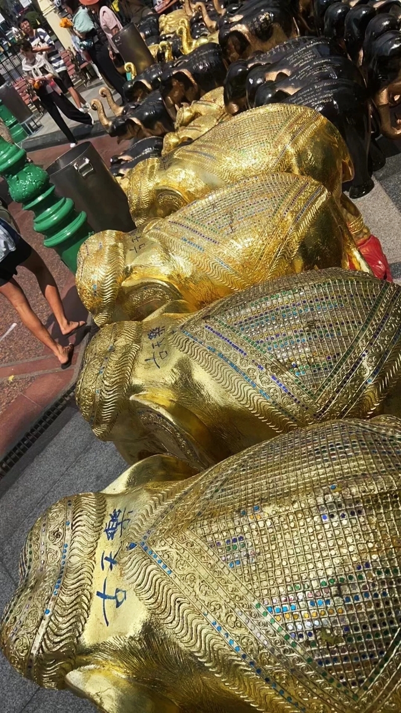 古天樂準備有傳是泰國四面佛最愛的鮮花 ，以及四隻金色巨型大象。