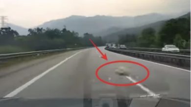 Photo of 大道草叢飛石竄出  擊爆轎車擋風鏡