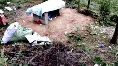 Photo of 因母從小打罵痛恨女性 13歲少年殺8歲女童姦屍