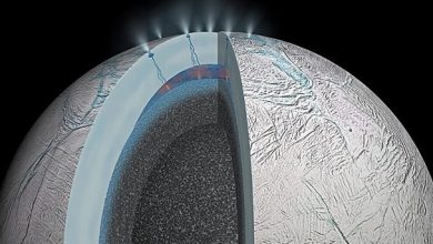 Photo of NASA探測器 2030年或發現外星生命