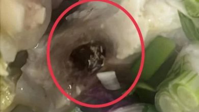 Photo of 賣到有蒼蠅卵牛肉湯  檔主孩子道歉賠償事主