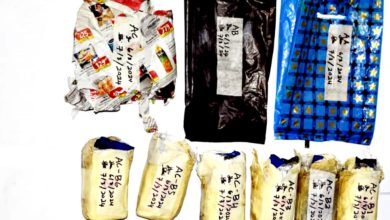 Photo of 行李藏1.4萬顆毒品圖運入島 泰男交怡碼頭被捕