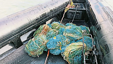 Photo of 2漁船非法越域被扣 海事機構起25蜈蚣網