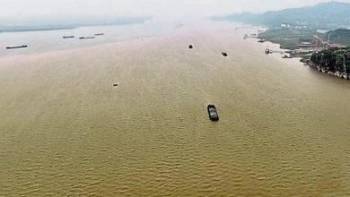 Photo of 鄱陽湖水位速升破枯水線