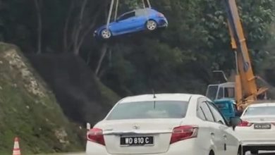 Photo of 轎車卡在高速公路旁大樹起重機施救 網民：車是怎麽“飛”上去的？