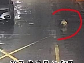 Photo of 【視頻】嬰兒雨夜爬上街頭 幸被路人接力守護
