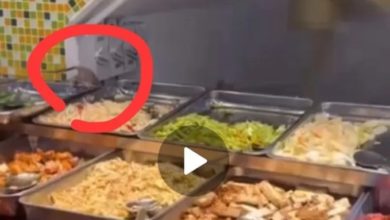 Photo of 雜飯店出現老鼠 爬過菜品令人反胃