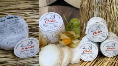 Photo of 3法國產羊奶酪或含李斯特菌 獅城食品局下令進口商召回