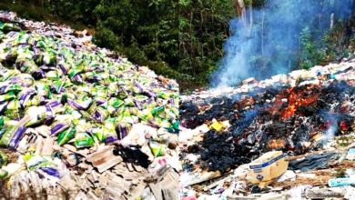 Photo of 成堆白米糧食棄垃圾場 網民：過期水災物資？