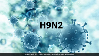 Photo of 越南首宗人感染H9N2 患者住院38天還在ICU