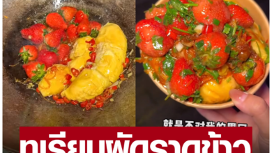 Photo of 中國暗黑料理 榴槤草莓蓋澆飯 紅到泰國