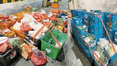 Photo of 從馬非法進口農產品 貨櫃車被獅城扣押