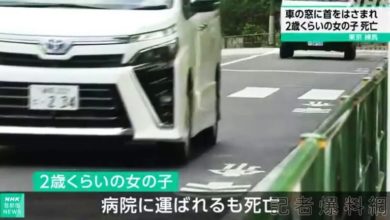 Photo of 日本兩歲女童脖子卡車窗身亡 母親開車途中驚覺