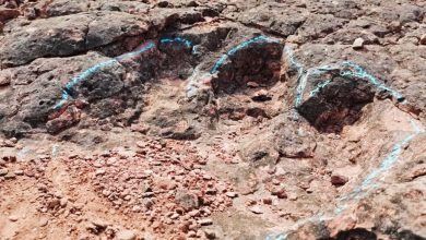 Photo of 雲南祿豐發現 1.2億年前恐龍足跡化石