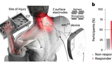 Photo of 醫療科技新創“脊髓電療法” 讓癱瘓病患重拾希望
