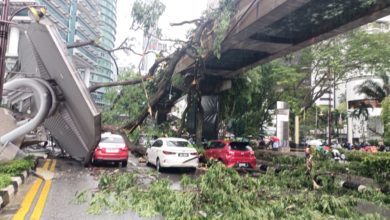 Photo of 暴風雨襲擊首都 樹倒壓毀17輛車 輕快鐵服務中斷