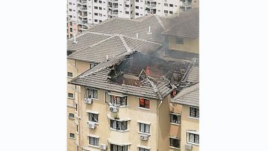 Photo of 甲洞逸福園公寓頂層 大火燒穿屋頂