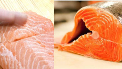 Photo of 挪威鮭魚3年內暴漲2倍 日本推國產貨便宜40％