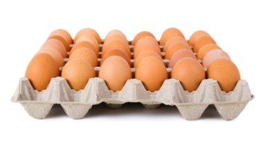 Photo of 農場:政府津貼有助盈利 但讓雞蛋價浮動更健康