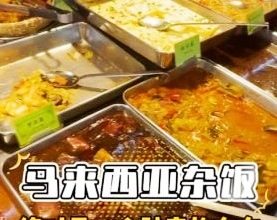 Photo of 外國博主：大馬雜菜飯很神奇 “永遠都不知道花多少！”
