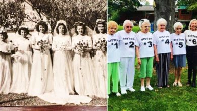 Photo of 長壽家庭！6姊妹總合年齡571歲創世界紀錄