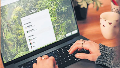 Photo of 使用Ecosia瀏覽器  如同資助環保項目