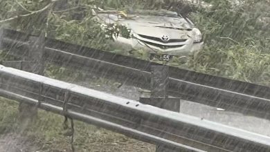 Photo of 暴風雨真的來 樹倒壓車 捲走屋瓦